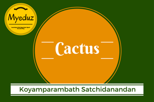 Cactus: Summary<