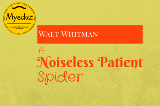 A Noiseless Patient Spider Summary by Walt Whitman<