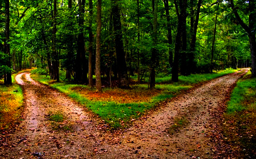 the road not taken by robert frost poem analysis