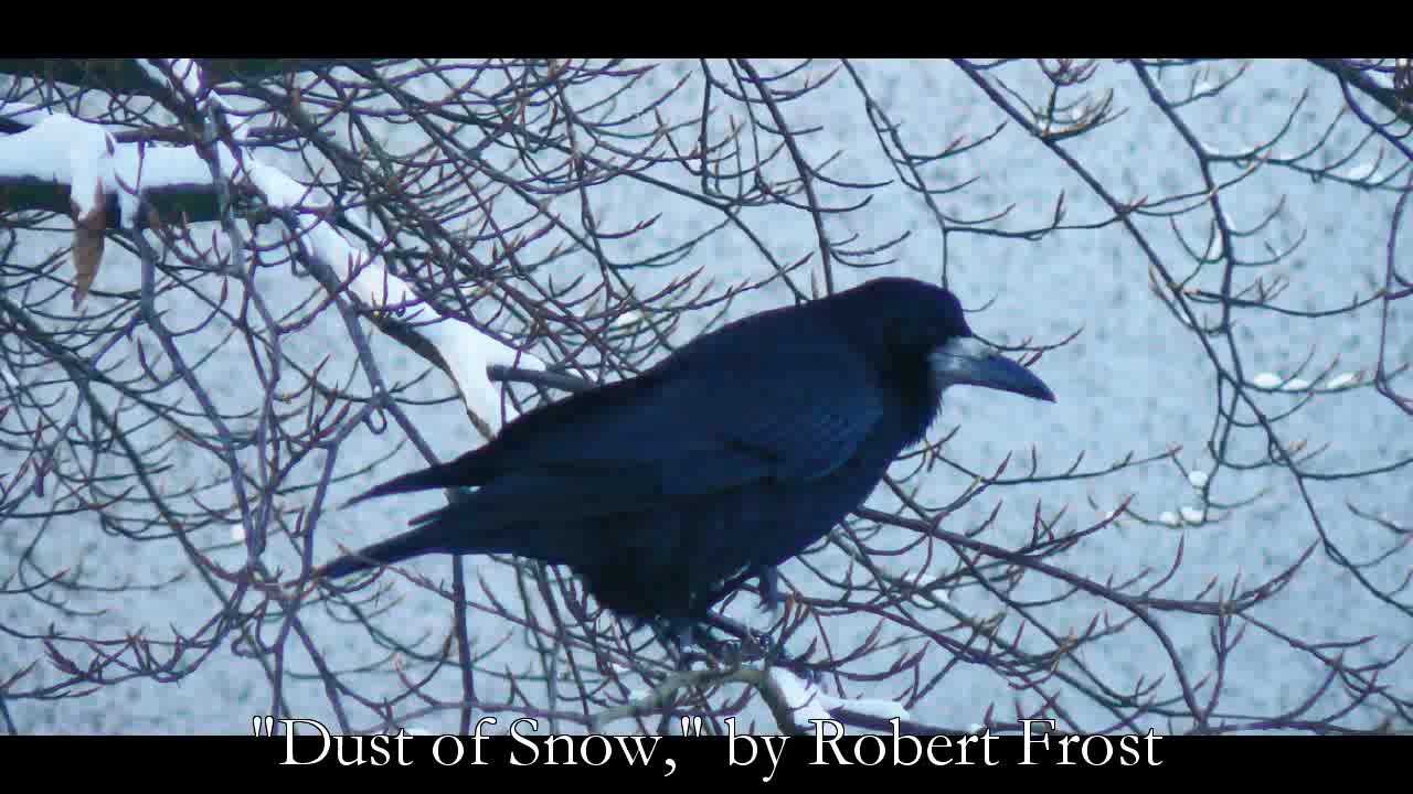 Dust of Snow Summary by Robert Frost: 2022<