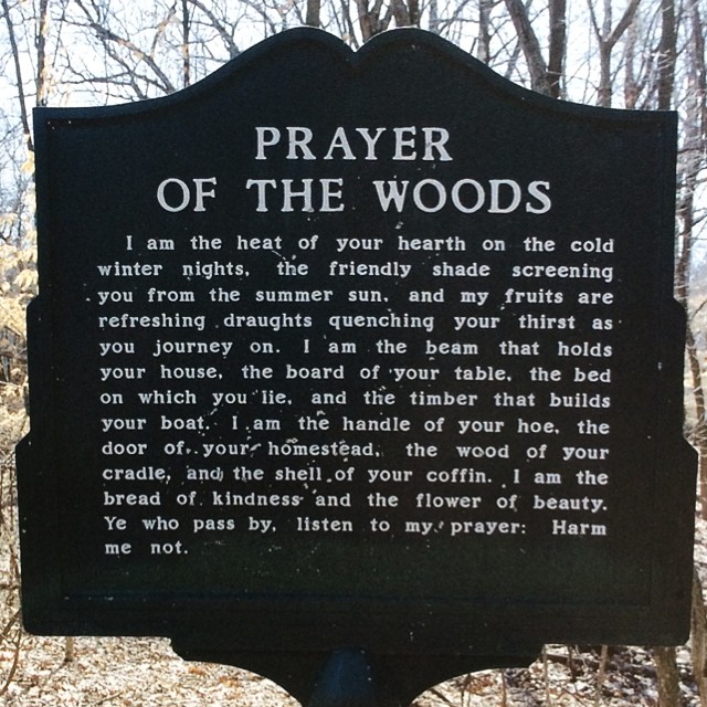 Summary of The Prayer of the Woods: 2022<