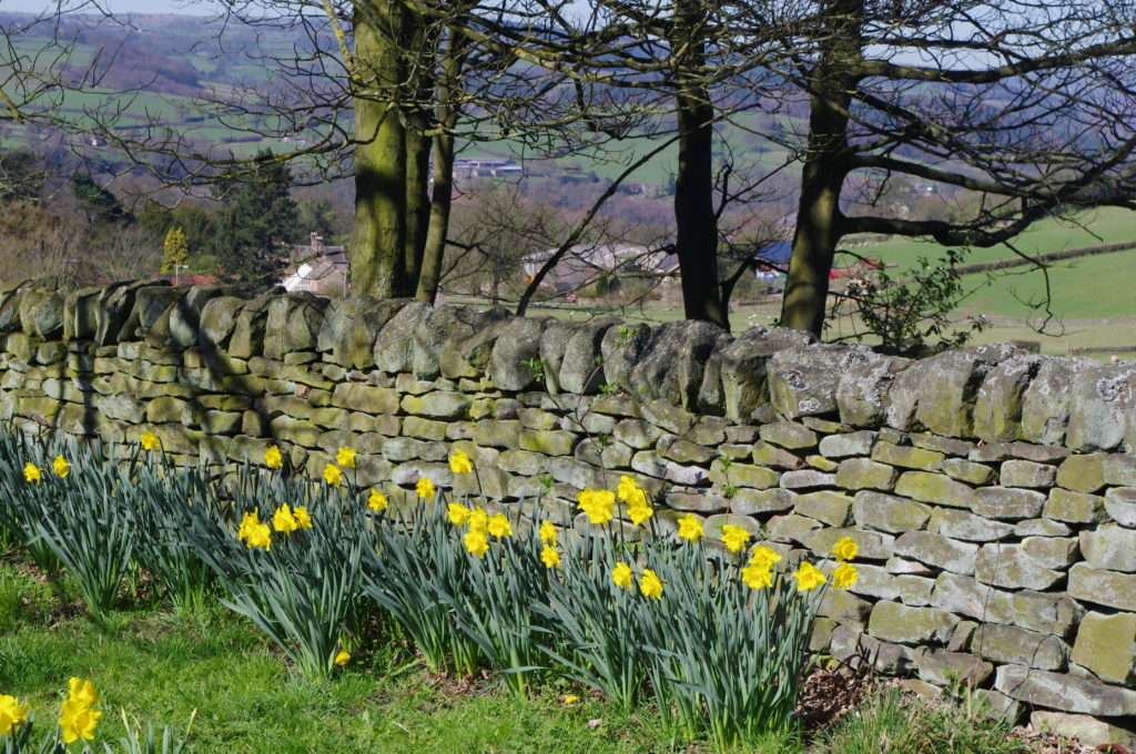 Analysis Central Idea And Theme Of Mending Wall By Robert Frost 