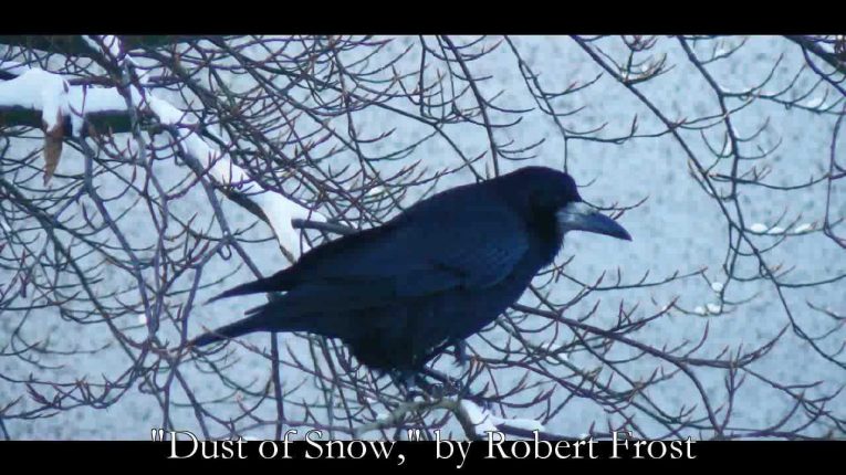Dust of Snow Summary by Robert Frost in Hindi: 2022<