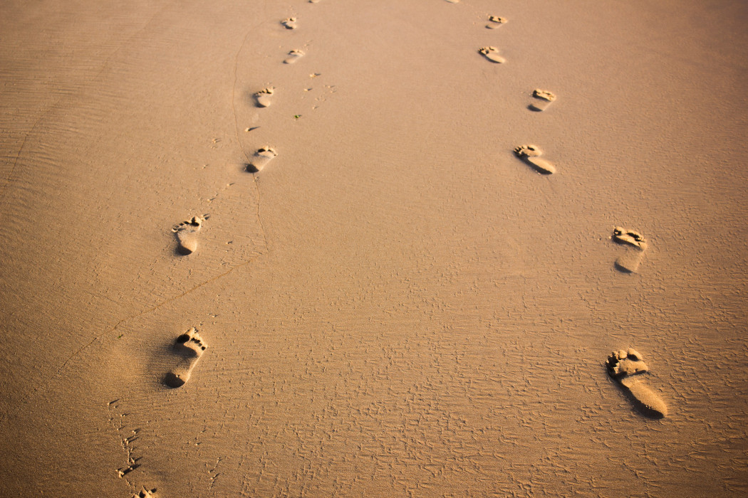 Footprints Without Feet: Summary and Analysis: 2022<
