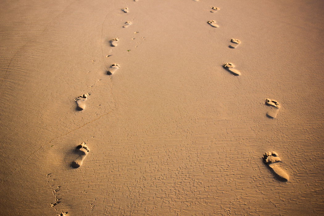 Footprints Without Feet Summary And Analysis 2022